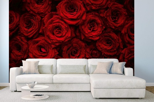 Vlies Fototapete - Schöne rote Rosen 375 x 250 cm